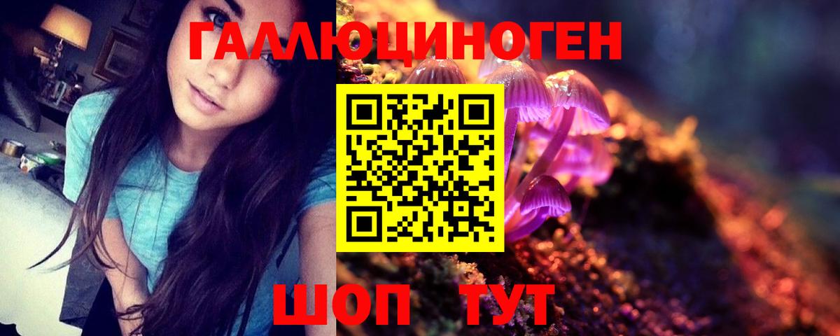 Звенигород  Псилоцибиновые грибы мухоморы  Вход с VPN 